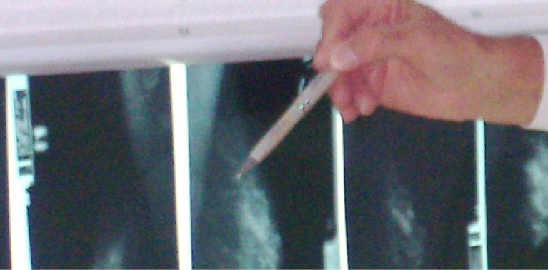 banner photo and Phoenix logo